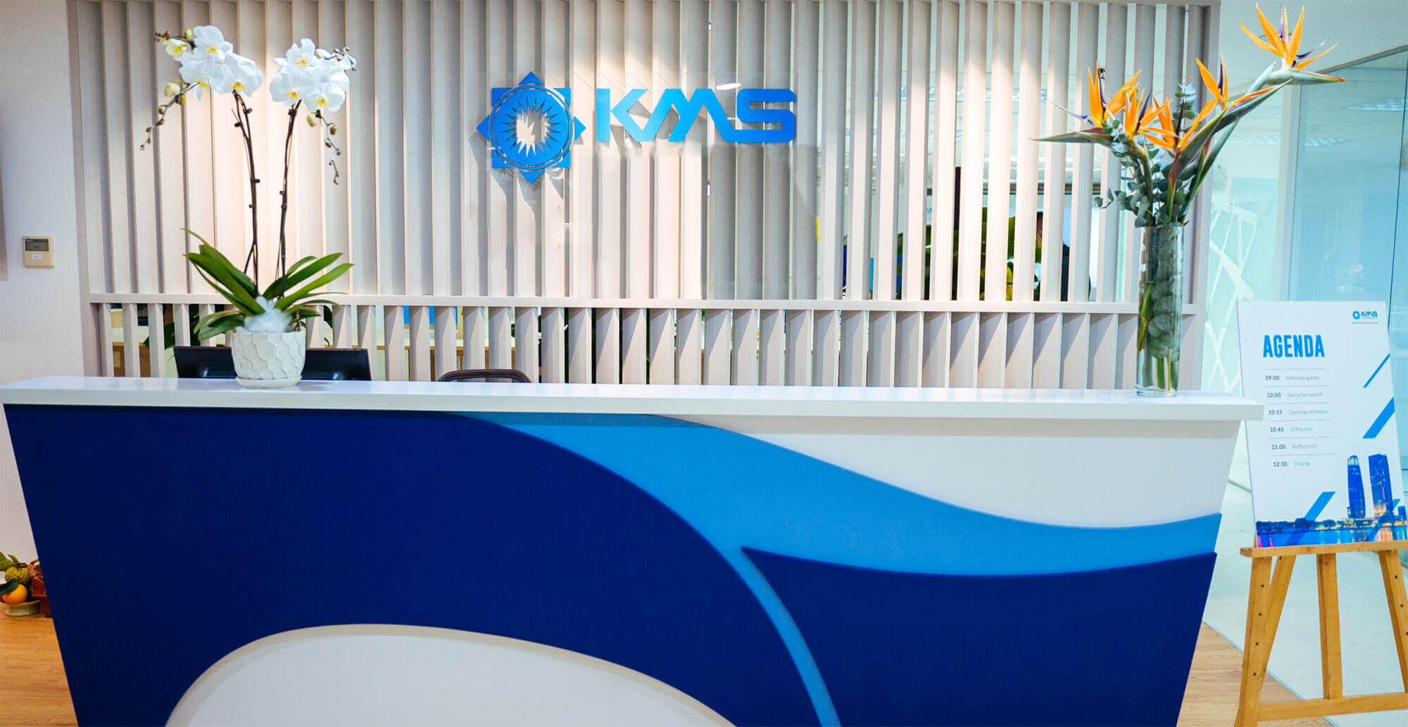 KMS Healthcare Appoints New CRO