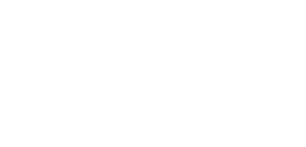 logo brightree